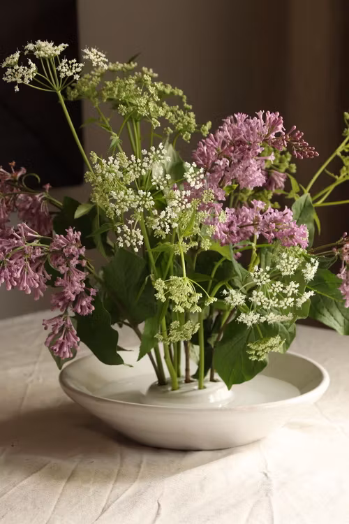 Blomstergroda