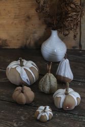 Pumpa - bruna nyanser