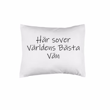 Här sover världens bästa vän