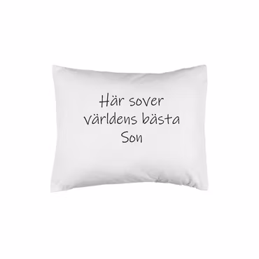 Här sover världens bästa son