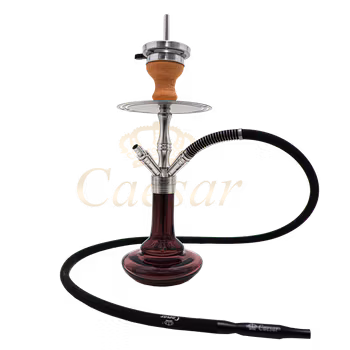 4er Stainless Steel - Shining Purple