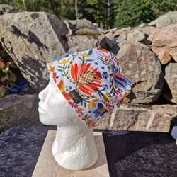 Mössa folklore