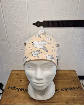 Mössa fåglar i aprikos