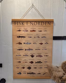 Tavla i canvas med magnetlist nordens fiskar