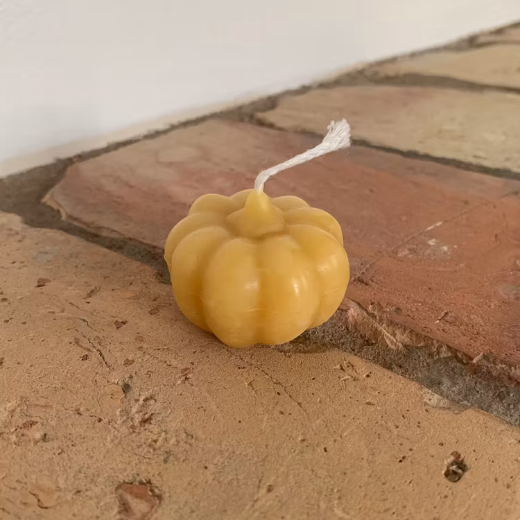 Bivaxljus – Pumpa