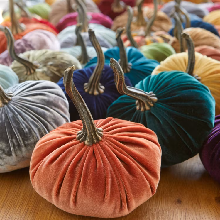 Pumpa i sammet – Liten