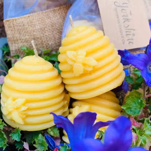 Bivaxljus – Bikupa