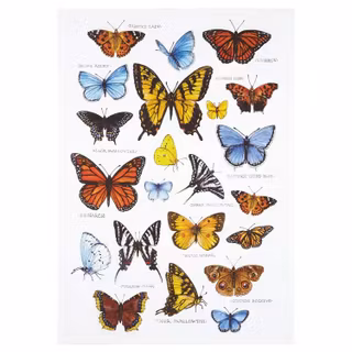 Kökshandduk – Field Guide, fjärilar