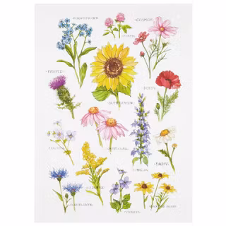 Kökshandduk – Field Guide, vildblommor