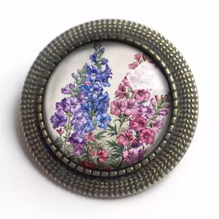 Brosch – Riddarsporre