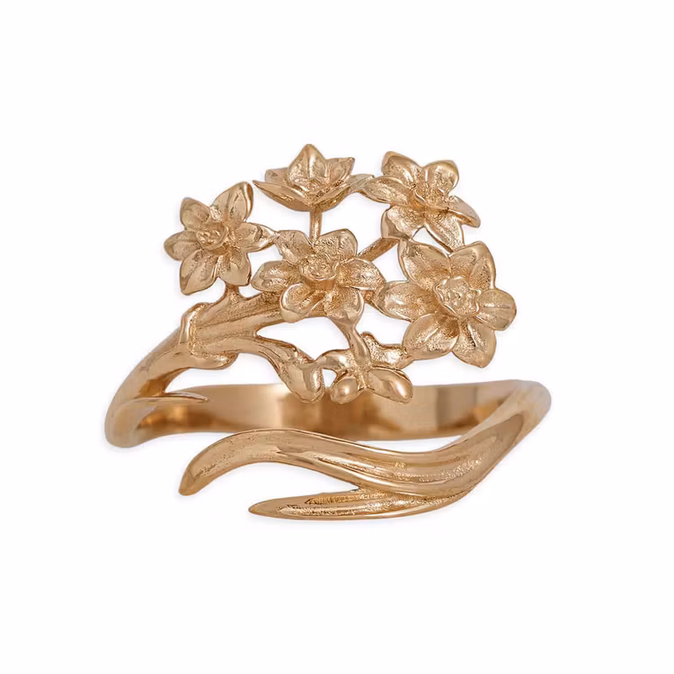 Ring – Narciss, brons