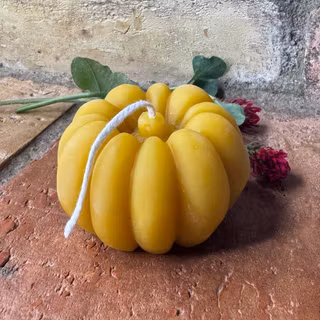 Bivaxljus – Pumpa