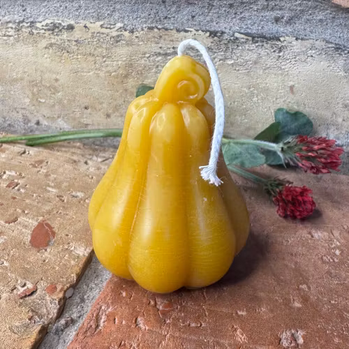 Bivaxljus – Pumpa, stående