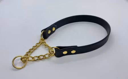 Halsband Halvstryp i PVC till hund under 15 kg