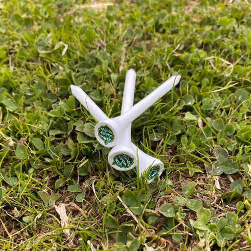 PEGG BJÖRKLÖVEN 10-PACK