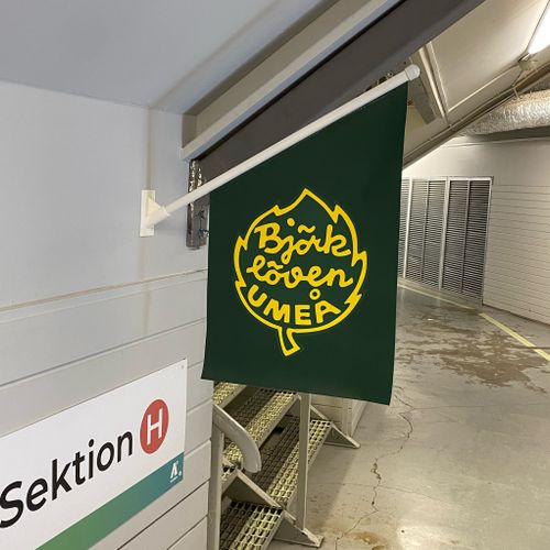 FASADFLAGGA LÖVEN