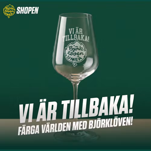 VINGLAS VI ÄR TILLBAKA 1-ST