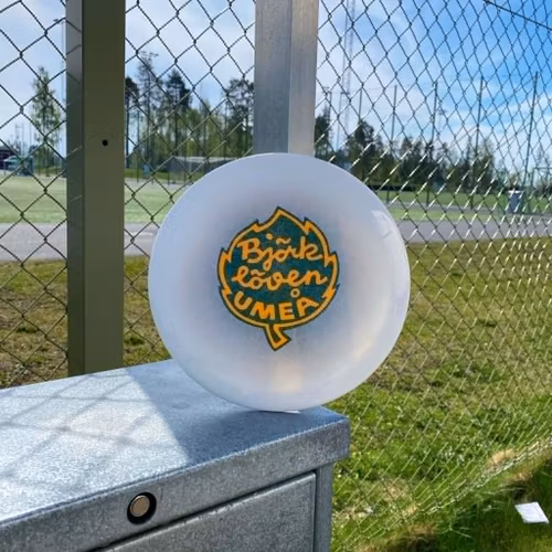 LÖVEN DISC DRIVER