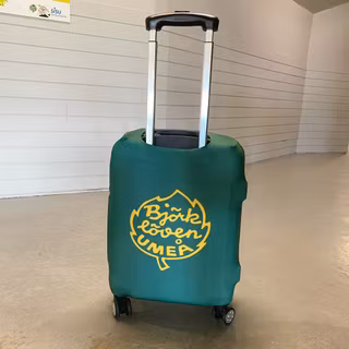 ÖVERDRAG KABINVÄSKA