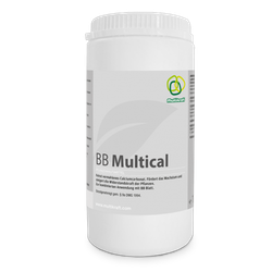 BB Multical