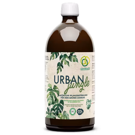 Urban Jungle