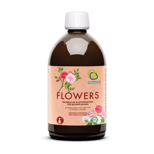 Blomguld (Flowers) är en blandning som sprayas på blommande växter för mer blommor, längre blomning och mer intensiva färger.