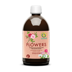 Blomguld (Flowers)