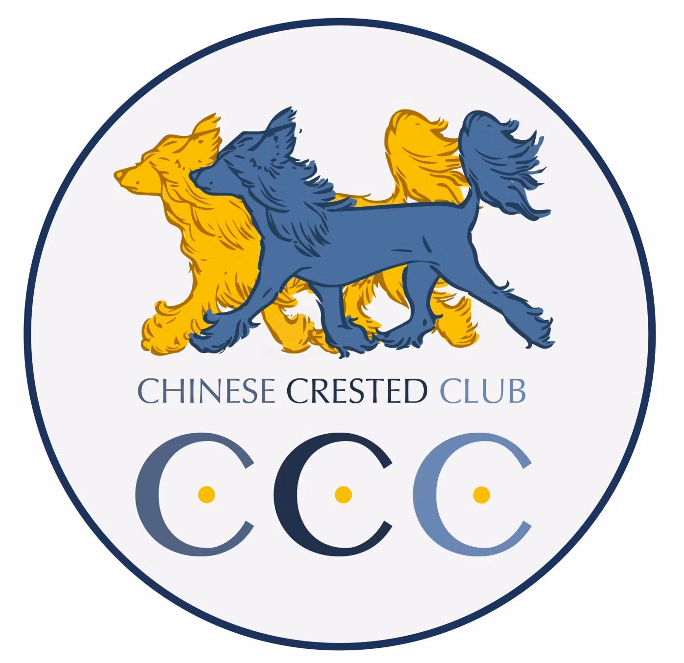 Chinese Crested Club - 1st Rosette
