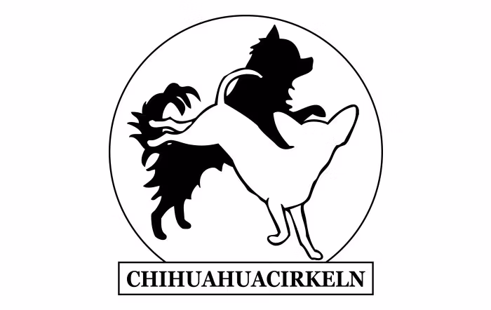 Chihuahuacirkeln - 1st Rosette