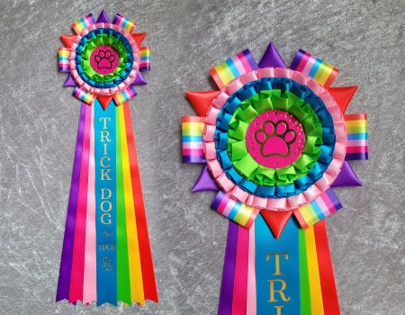 Trick dog Champion - L2413