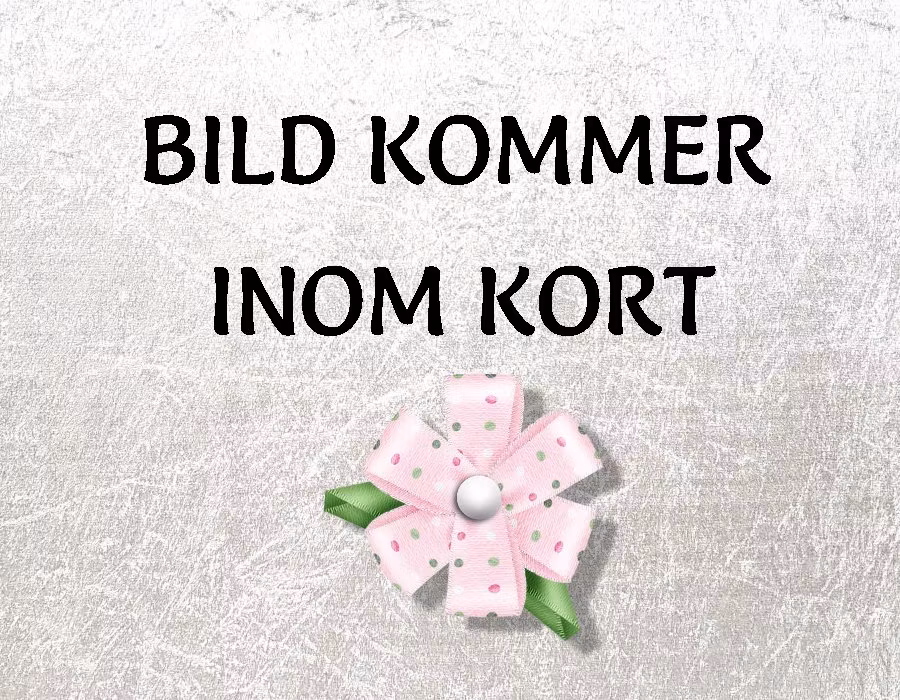 Uppklassning - L2160