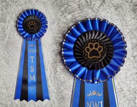 NW1 till NW3 TSM - 2:a plats - HK20T