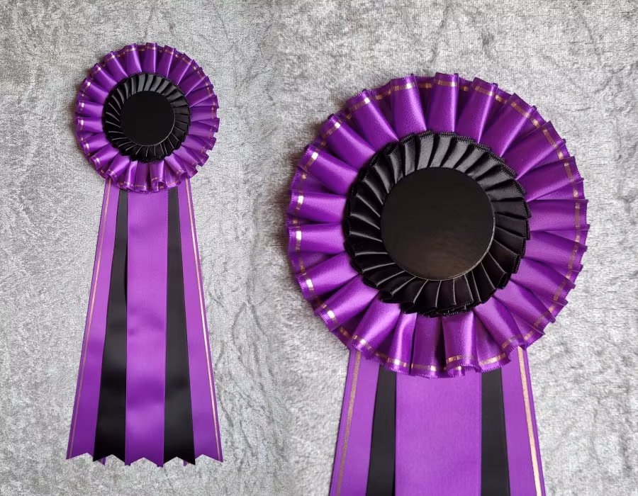 NW1 till NW3 TSM - 3:e plats - HK20T