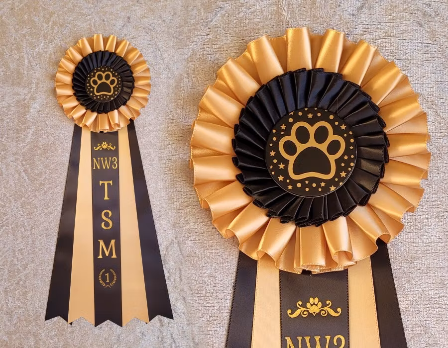 NW1 - NW3 TEM - 1:a plats - HK20