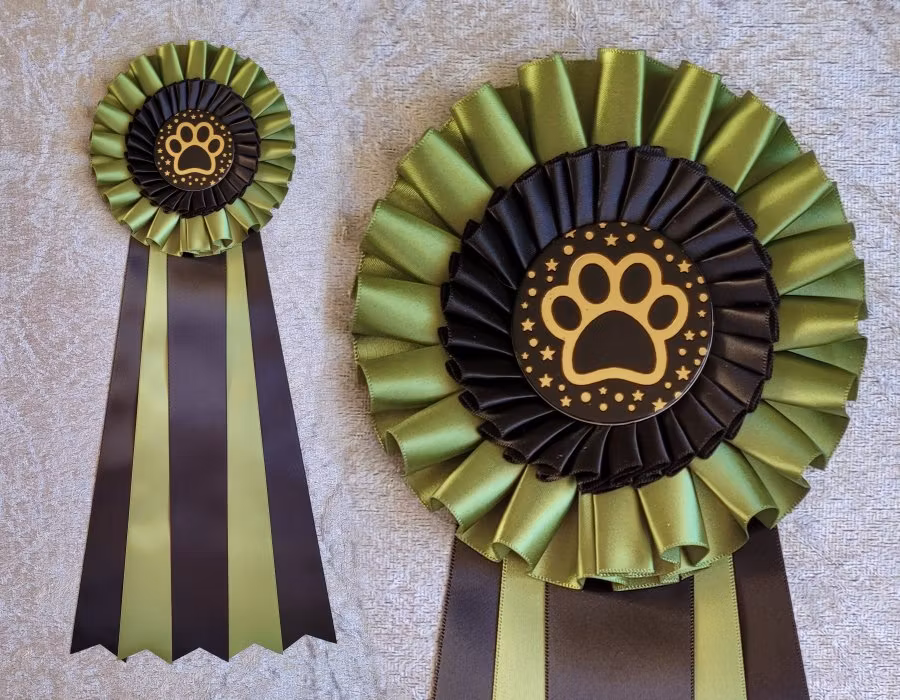 NW1 till NW3 TEM - 2:a plats - HK20