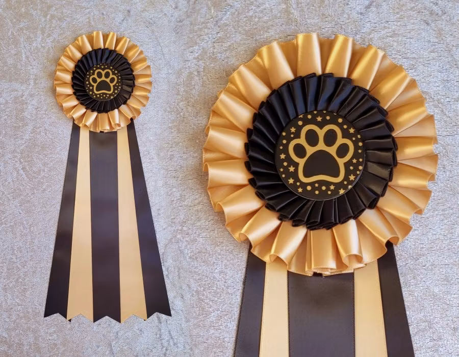 NW1 till NW3 TEM - 2:a plats - HK20