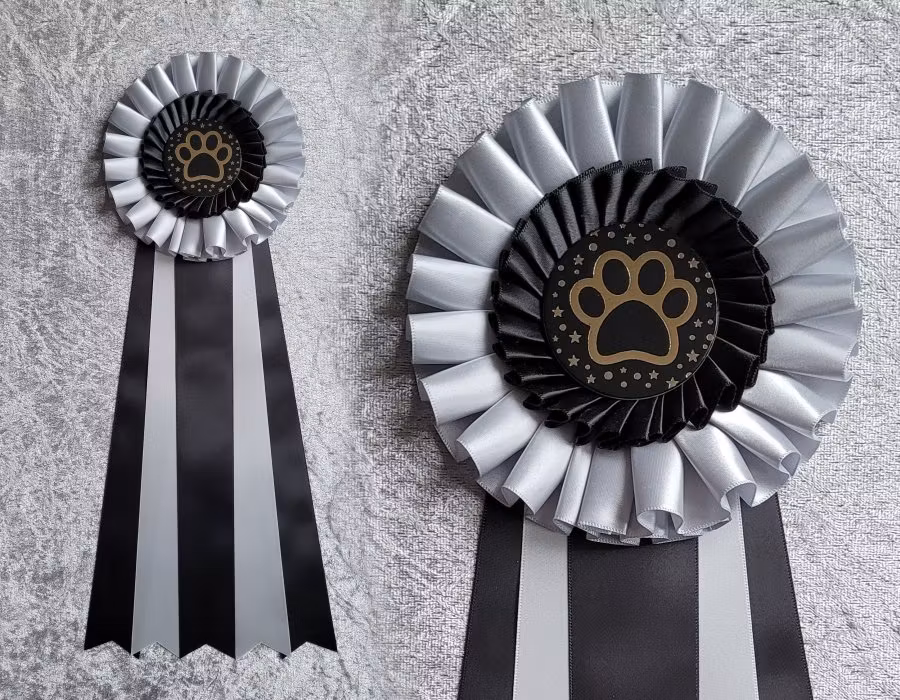 NW1 till NW3 TEM - 2:a plats - HK20