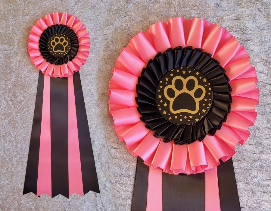 NW1 till NW3 TEM - 3:e plats - HK20