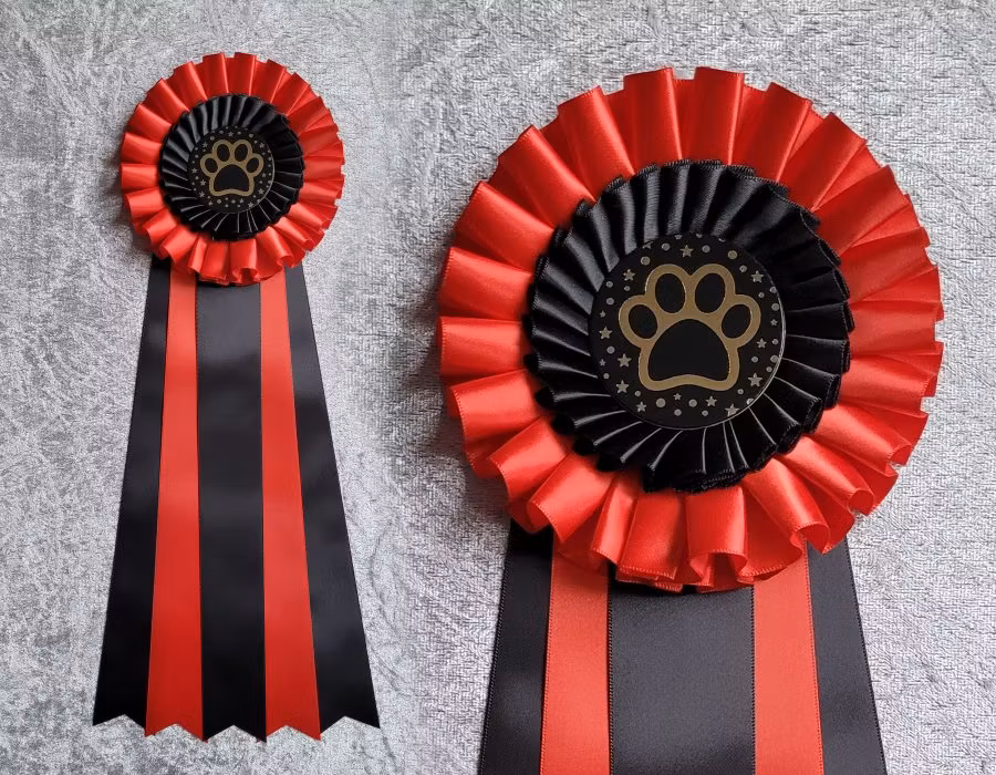 NW1 till NW3 TEM - 3:e plats - HK20