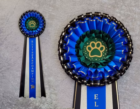 Elitspårchampion -  L1852