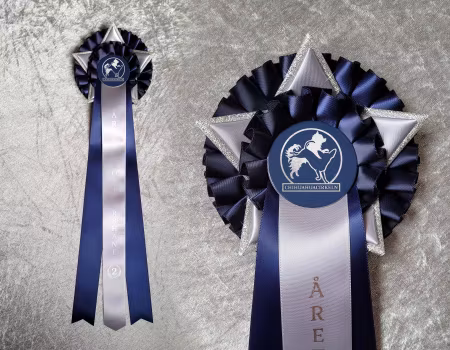 2025 Årets Korthårstik + placering