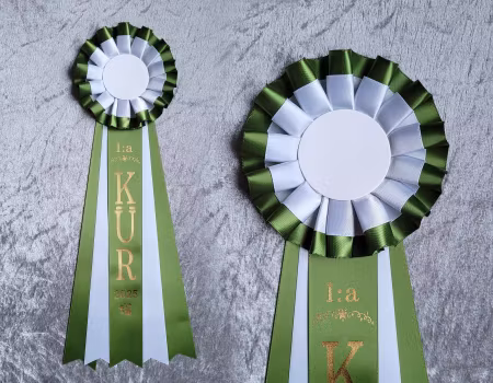 Egen vald placering KUR - STD5