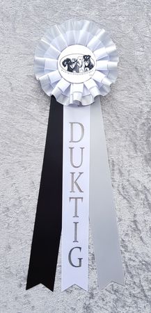 Nivå 1 - DUKTIG
