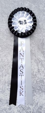 Nivå 3 - FANTASTISK