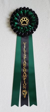 Viltspårchampion - STDL3