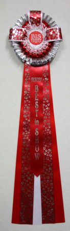 REA R056 (2 rosetter)