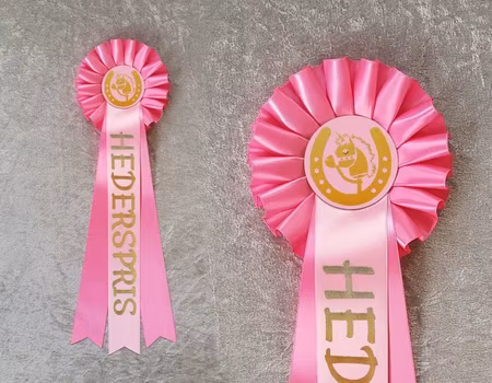 Hederspris Häst ST2