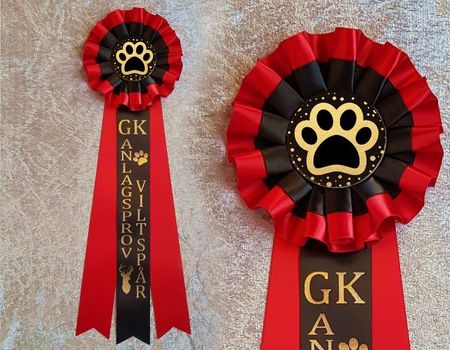 GK Anlagsprov viltspår - Hund STD