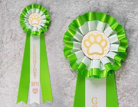 Genomfört BPH - Hund STD