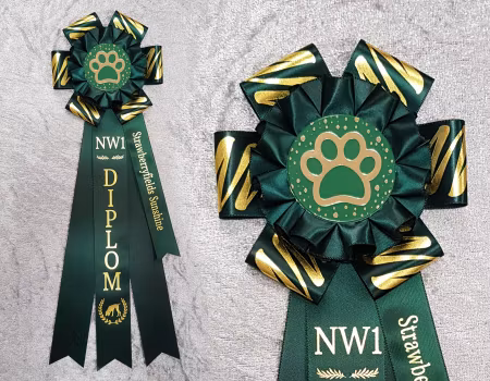 Nosework 1-3 Diplom med namnband - Hund SP2